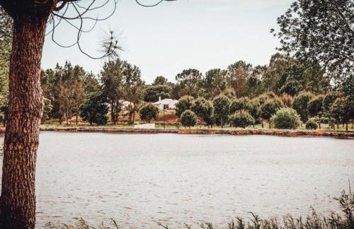 Casas da Horta - Foto 68