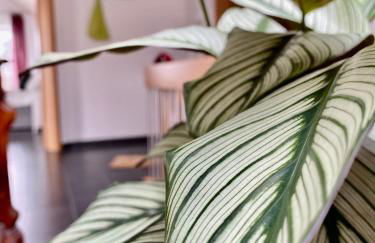 Moderne Ferienwohnung Seeblick - Foto 9