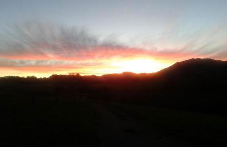 Axuri-alde - Foto 24