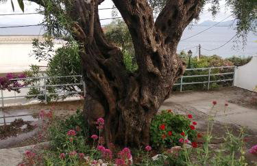 Kiki's Apartments - Foto 26