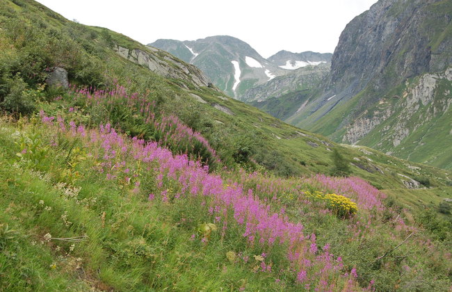 Rustico Stübii - Foto 32