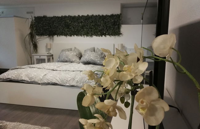 Ferienwohnungen Prestige 2 - Foto 9