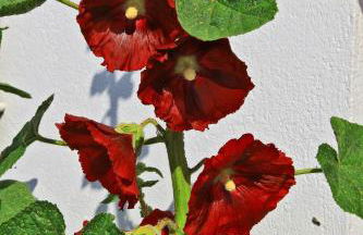 La Chaize - Villa, Suites & Spa - Foto 18