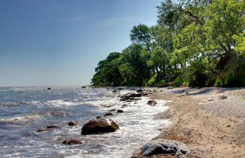 Gänsemagd - Foto 10