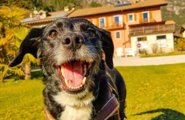 Ledro Lake Suite "Pur" - Foto 18