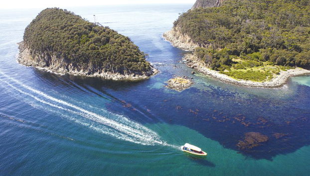 Bruny Island Cruise from Hobart - Full-Day Tour - Photo 2