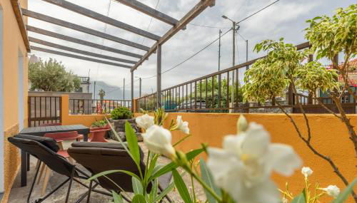 Scenic Home with Panoramic Sea & Mountain Views in São Vicente - Foto 1, Garden