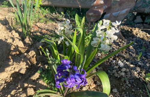 Belle Vue Gite - Foto 31