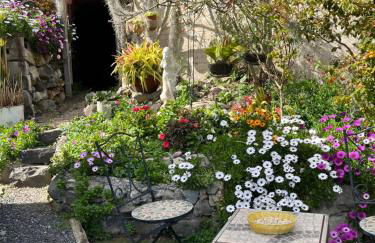 Tropical House - Foto 6