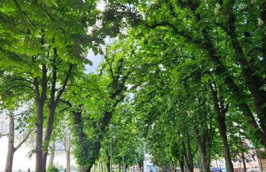 Apartman NOA - Photo 22