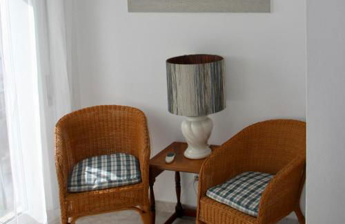 Peixe Agulha - Foto 16