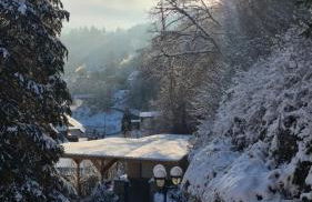 Waldhaus zum gechillten Hirsch in der Natur, bei der Moseltherme Traben-Trarbach - Foto 40