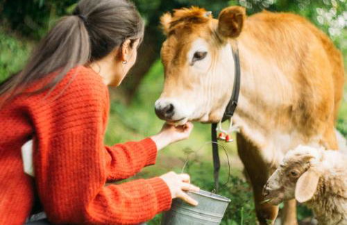 Domus Agricolae Corallina - Foto 54