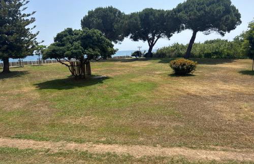 Appartement n 216 Moriani plage - Foto 47