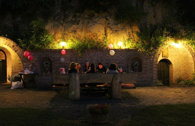 Mikin dol Baranja Country House - Foto 23