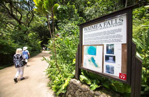 Naupaka Breeze Ocean View AC 30 DAY STAY SPECIALS! - Foto 48