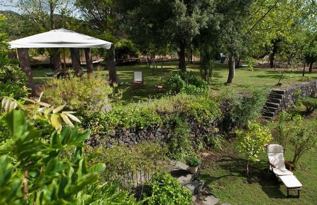 Palmento Monterosso - Foto 18