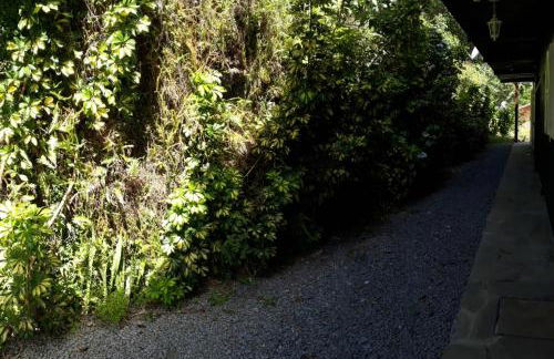 Aluguel Temporada em Gramado - Photo 19