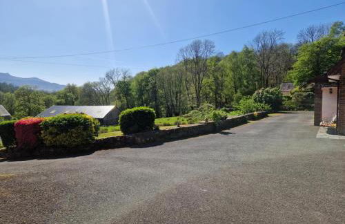 Y Fedw Wen - Foto 26