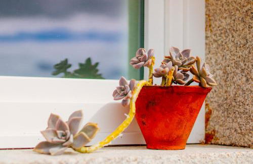 Mourisco Guest House - Foto 14