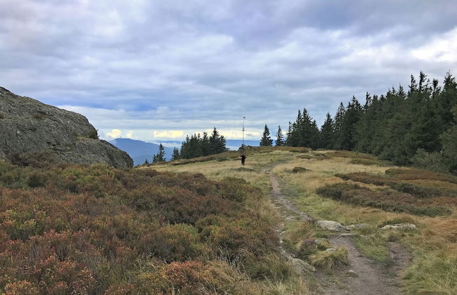 Spacious Villa near Forest in Buchet - Photo 40