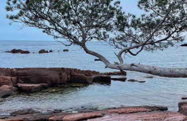 La Cigalière - Foto 39