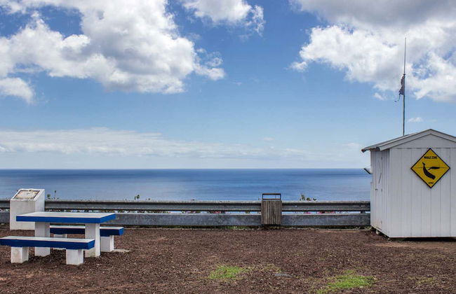 Tour del patrimonio ballenero de las Azores - Foto 4