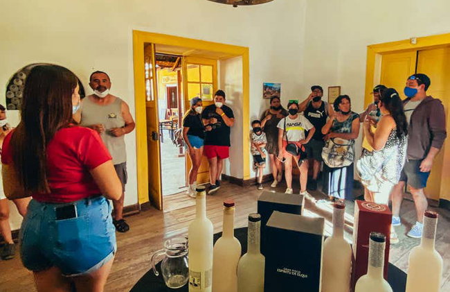 Tour do pisco pelo Alto Elqui - Foto 9