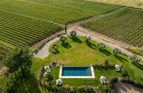 Sce Quiríc - Foto 12