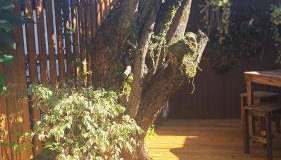 Morada Héstia - Foto 5