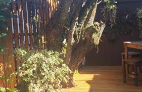 Morada Héstia - Foto 5