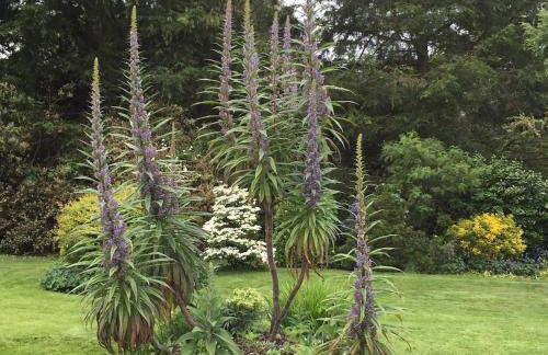 Parkwater Cowes - Foto 13