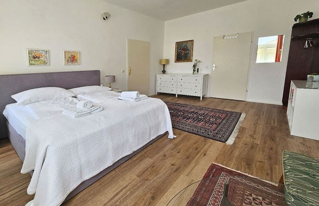 Orange Palm - Foto 13