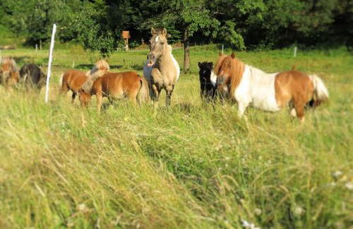 Charmante Ferienwohnung mit Garten in Huddingen - Photo 66