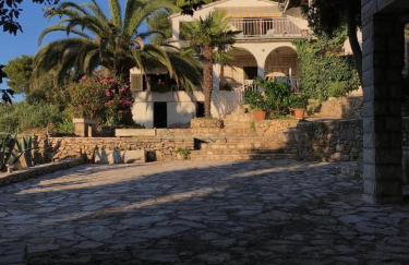 Apartment in Maslinica 70m from the sea - Photo 69