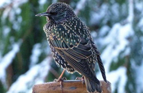 Sunset View one bedroom luxury cottage in an idyllic setting - Foto 47