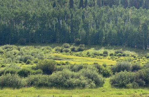 Wapiti Retreat at 22 West Cabins and Recreation - Foto 66