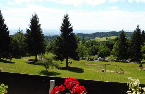 Komfortable Wohnungen und Studio in Sankt Englmar - Foto 14