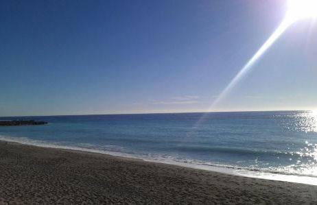 Les Agrumes - Foto 34