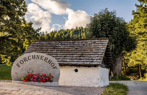 Forchnerhof Nature & Mountain View Apartments - Foto 9