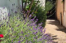 House - Sunlit haven with outdoor terrace, garage and metro 14, RER B - Foto 6