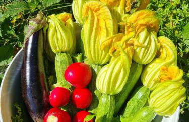 La perla nella foresta - Photo 15