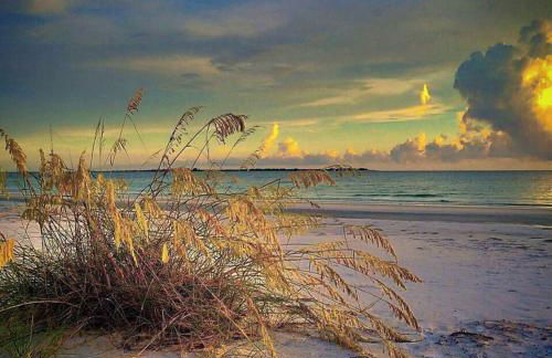 Charming 1923 Cottage at Erehwon Retreat - Foto 29