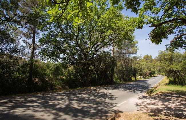 Chateau in Lorgues With Pool & Vineyard Views - Foto 38