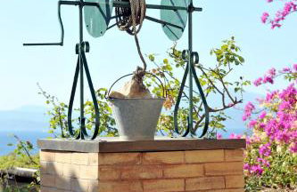 Hydra Erato - Foto 38