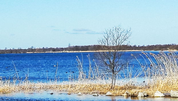 Jeżynowa - Foto 5, Mood