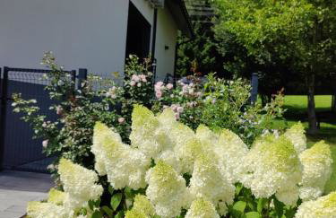 Willa VITA Muszyna - rodzinne apartamenty blisko natury i atrakcji - 15min pieszo do centrum - 15min autem do stoku - Foto 45
