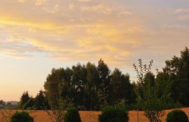 Poziomkowy Zakątek - Foto 21