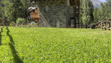 Zitelli Aosta - Foto 3, Garden