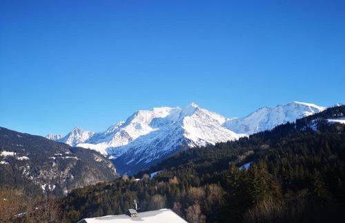 Vue splendide Mont Blanc - Foto 7